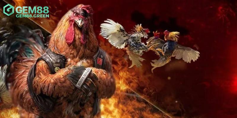 Những điểm khiến đá gà GEM88 luôn được đánh giá cao Những điểm khiến đá gà GEM88 luôn được đánh giá cao