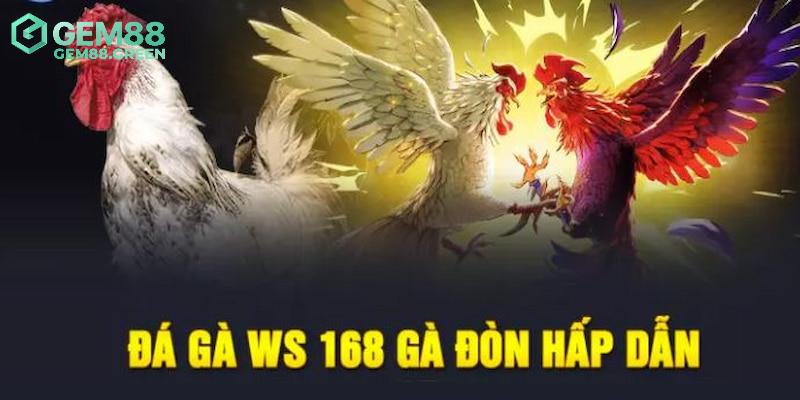 Ưu điểm vượt trội chỉ có tại sảnh đá gà WS168 Ưu điểm vượt trội chỉ có tại sảnh đá gà WS168